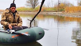 ПОПАЛИ НА ЖОР КАРАСЯ ПЕРЕД ЗИМОВКОЮ. Рибалка на боковий кивок