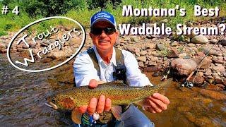 Montana's Best Wadable Stream?  | Trout Wranglers   (Episode 4)