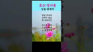 [시낭송] 호수ㅣ정지용ㅣ보고픈 마음ㅣ낭송:봉경미#Shorts