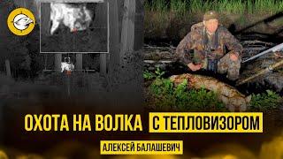 Охота на волка с тепловизором #спектроптик #hunting #волк #трофей #hunt #технологииохоты #тепловизор