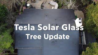 Tesla Solar Roof - Tree Update