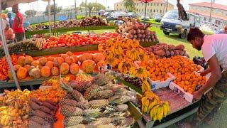 Inside a Local GUYANESE FARMER'S MARKET in Georgetown Guyana