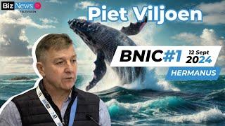 BNIC#1 Piet Viljoen: "Lollapalooza" outcomes, ridiculously bad investments and strategic insights