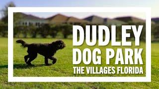 WOW this is a Big Dog Park! Gridley Visits Dudley Canine Park in The Villages | The Villages Florida