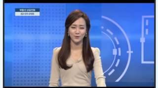 2015-11-02 SBS CNBC 부동산따라잡기 도시계획연구소 서기섭대표 출연, 한강변기본관리계획 및 부동산고민해결