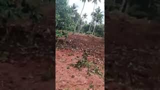 THIRUVALLA, large 1.5 acre Land for Sale, 6.30 Crores