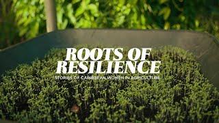 Helen's Daughters Documentary - Roots of Resilience