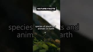 The Fact Explorer #facts #shorts #nature