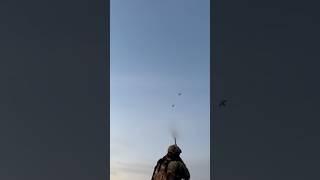 Pintal duck  down very hard shot #duckhunt #duckhunter ️️