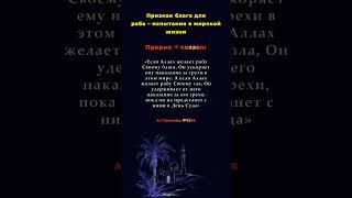 Наказание в мире — легче, чем в вечности. #хадис #сунна #религия