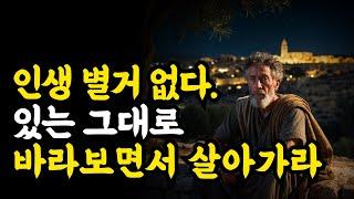 그저 있는 그대로 바라보면 된다. [명상록]