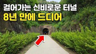 걸어야만 갈수 있는 숨겨진 신비로운 터널과 천길 낭떠러지 트래킹코스, 8년간의 사업 마침표!” 한국에 이런곳이/ 대중교통 당일치기 여행