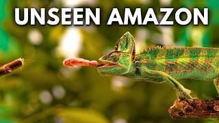 The Most Unbelievable Wonders of The Amazon Rainforest | Documentary