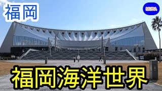 【福岡 博多 觀光地】海洋世界海之中道（マリンワールド海の中道）帶您從博多車站搭電車前往