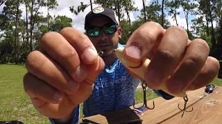 Norman Lures Speed Clips: Review and Strength Test