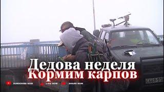 Дедова неделя. Кормим карпов. Запорожье 23 окт. 24г.