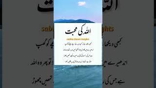 Allah ki Muhabbat️ | quotes | Urdu quotes | Islamic quotes in Urdu |  Islamic shorts | shorts