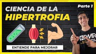 #1 De NOVATO a EXPERTO  CLAVES DE LA HIPERTROFIA (comprobado)