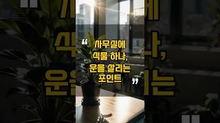 사무실에 식물 하나, 운을 살리는 포인트 l #재물운 #풍수 #풍수인테리어 #명당 #풍수지리 #건강