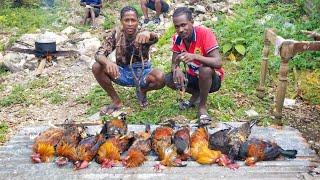 Epic slingshot shooting 12 rooster {Catch Clean Cook} under a cave | hunting Jamaican style