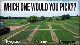 Which GRASS TYPE Is BEST For You And Your Lawn??