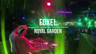 FOXEL @ Royal Garden (Americana/SP)