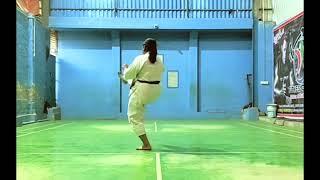 Heian Yondan Kata