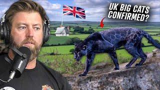 Big Cat Confirmed in UK Countryside