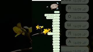какой пароль? #лизпро #лизок
