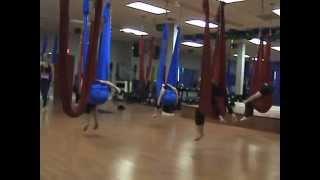 Aerial Yoga Harrington Park
