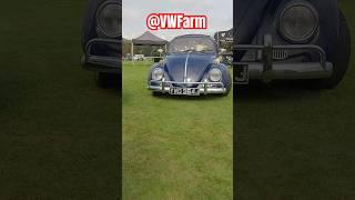 Classic VW Beetle rolling shot at VW Festival show and shine @VWFarm #carshow #bug #vw #restored