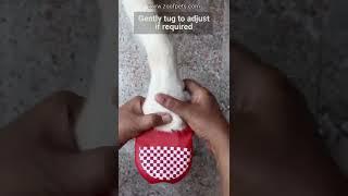 How to properly put on Zoof Boots | Zoof Pets#cutedog#funnydog#dogshorts#tiktokdogs#dogs