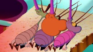 हिंदी Oggy and the Cockroaches  रहस्य Hindi Cartoons for Kids