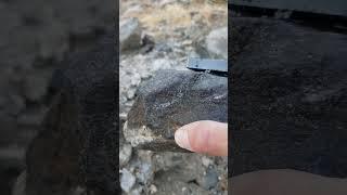 My honey hole find for the weekend #meteorite #astronomy #geology #uniquefind #viral #orbit #galaxy