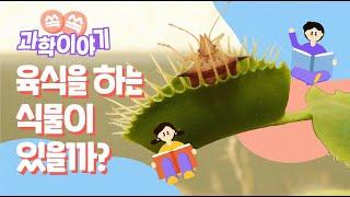 Are there any plants that eat meat?│Science Story
