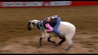 Mutton Bustin' highlights | San Antonio Rodeo | Feb. 16, 2024