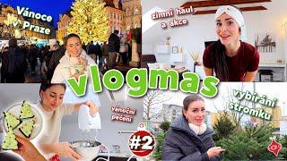 VLOGMAS #2 - pečení vánočních brownies, haul, StarDance & vybírání stromečku, nový nábytek a další