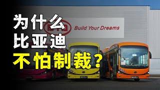 Why the United States does not sanction BYD？