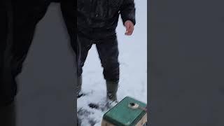 Не успел поставить, щука схватила живца!