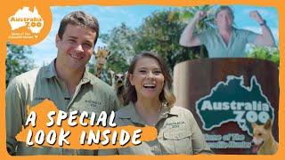 Tour Australia Zoo with Bindi and Chandler