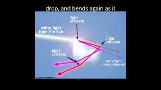 The Science Behind Rainbows  ! #physics #rainbow #sciencefacts #science #facts #natue #study