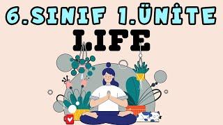 6.SINIF İNGİLİZCE 1.ÜNİTE KONU ANLATIMI | LIFE