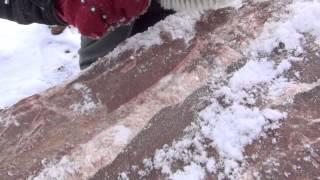 Новости ТВ СФУ. Выпуск 95