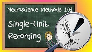 Single-Unit Recording Explained! | Neuroscience Methods 101