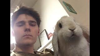 Alex Ernst and his bunny Bailey compilation