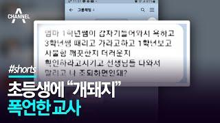 초등생에 “개돼지” 폭언한 교사 / 채널A #Shorts