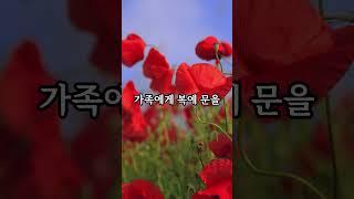 6. 16일 지나 하늘의 천복을 받게되는 띠는 누구일까요
