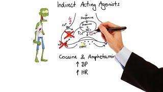 Pharmacology - ADRENERGIC RECEPTORS & AGONISTS (MADE EASY)