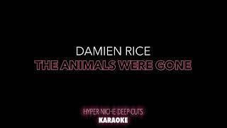 Damien Rice - The Animals Were Gone - Karaoke