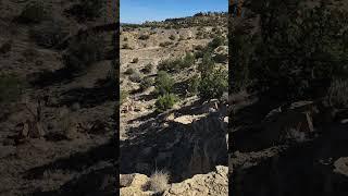 10/26/24 hike New Mexico a flat incline in high desert, mountain ahead. #nature #desert #mountains